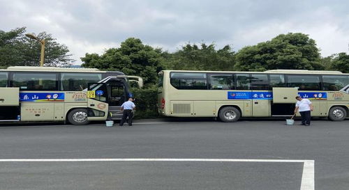综艺巴士官方下载,实地验证方案-复刻款_v6.536