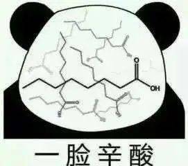 如虎添翼！让去吧皮卡丘官方下载，结构化推进评估_Mixed_v6.870好用到爆的5个必备插件与精品模板