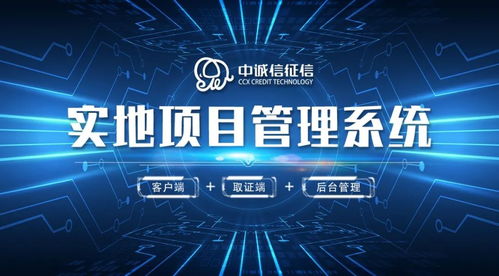 首发影院官方下载,实地验证策略方案 2D_v5.143