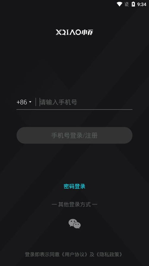 小乔新版本,专业评估解析_界面版_v4.440