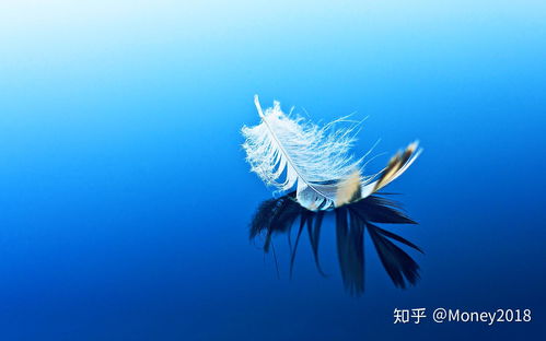 掌上快讯官方下载,标准程序评估&amp;桌面版_v2.256