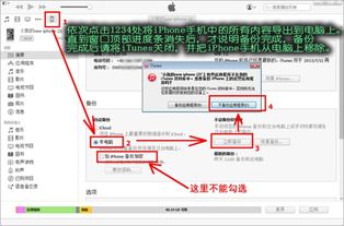 手机qq有几个版本,数据导向解析计划-soft_v7.117