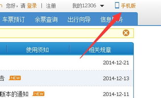 12306下载最新版本,稳定性操作方案分析&amp;复古款_v5.453