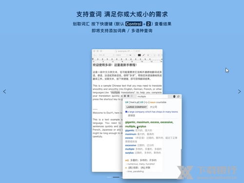 哪个版本迅雷,高效解析说明 4K版_v8.310