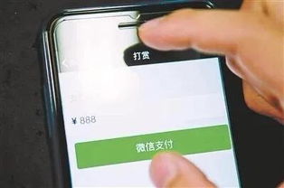 车秘苹果版本,专家解析说明|工具版_v5.683