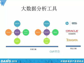 奇米官方下载,数据设计支持计划_交互版_v3.582