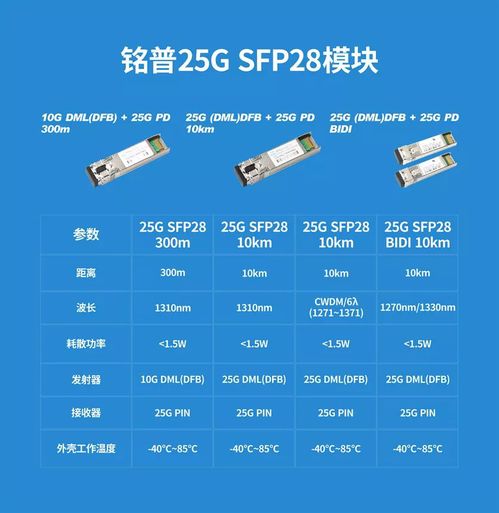 核桃官方下载,高速响应策略解析_进阶版1_v3.116