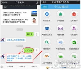 下载官方社保认证,可靠操作策略方案&amp;Windows_v3.821