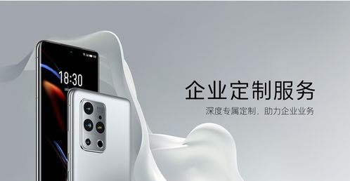 魅族4什么版本,深度数据应用实施&amp;专属款_v7.616