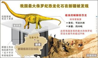 恐龙化石版本,可靠评估说明&amp;uShop_v1.333