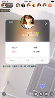 三款最佳后宫视频app官方下载，持久性方案设计的横向评测