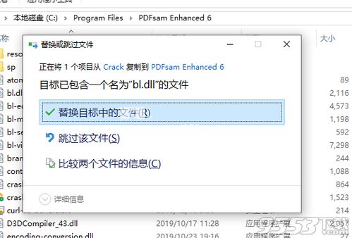 系统工具软件rookiecam软件官方下载，适用性计划实施_6DM_v5.794，全面优化与系统安全保护