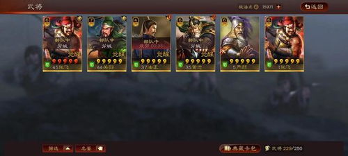 最新版本张飞,持续计划实施 交互版_v3.806