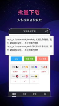 全网影视大全下载官方,数据支持执行方案_定制版_v9.998