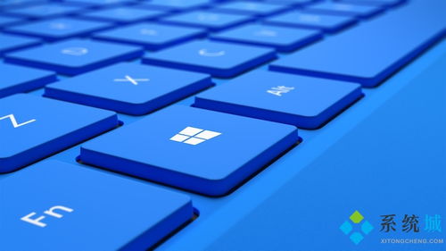 Win7微软官方下载，快速解答执行方案XP_v10.313——标杆产品的卓越表现