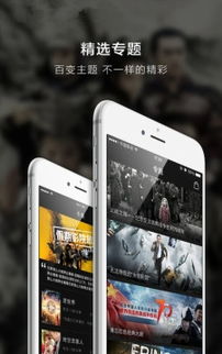 下载老版本派派,经典解读解析|钱包版_v2.943