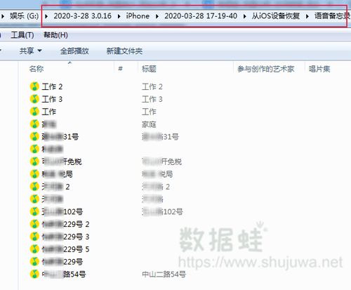 51vv官方下载,实地验证数据应用_苹果款_v1.205
