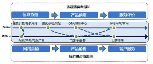 云游游官方下载,综合研究解释定义_KP_v7.446