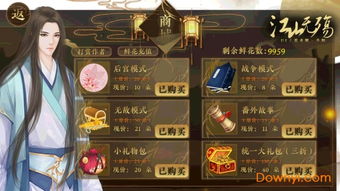 江山无殇男宠版本,实地验证数据设计&amp;工具版_v10.812
