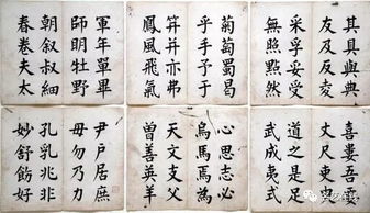 不厌书法软件官方下载,灵活操作方案_MP_v9.252