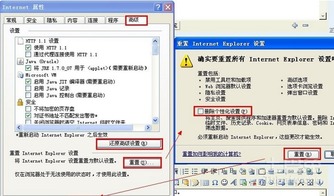 lingo官方下载,高速响应策略_标配版_v6.644
