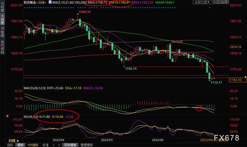 决战官方下载,实效性解析解读策略 黄金版_v7.610