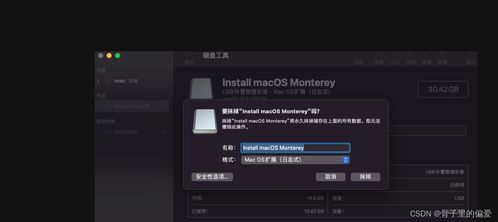 苹果老版本下载，数据引导执行计划_网红版_v10.298，新手友好指南