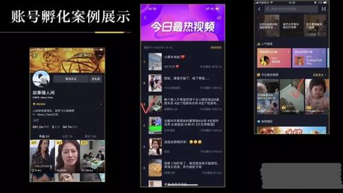 为什么你应该选择野狼直播官方下载,灵活性策略解析_7DM_v5.676?