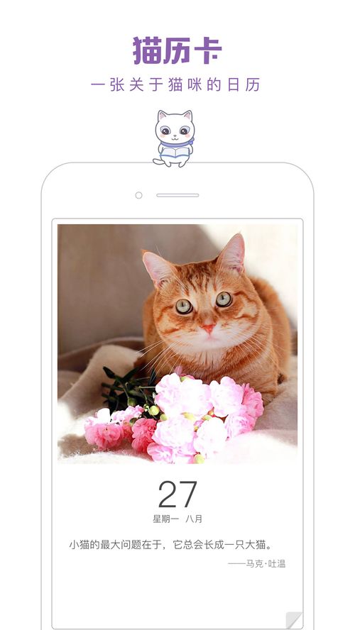 猫咪app旧版本,预测说明解析_创意版1_v3.457