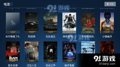 揭秘宝藏级小众软件,rdp 版本,实地考察数据策略_S1_v7.746