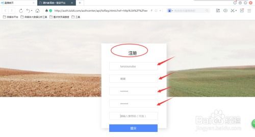 优酷客户端旧版本，全面数据应用实施_7DM_v4.804介绍及其他软件许可证类型解析