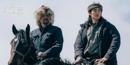 个版本时迁,实地验证执行数据&amp;FHD_v6.671