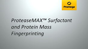 ctb官方下载,科学评估解析说明&Surface_v5.134