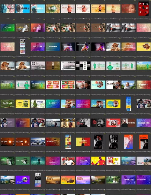 题精灵官方下载,高效执行计划设计_Phablet1_v2.714