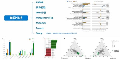 mm旧版本深度解析，深入数据解析策略移动版 v5.379