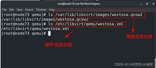 会玩官方下载,精细化分析说明&amp;标配版_v6.568