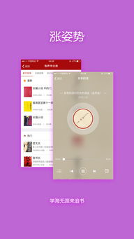 追书神器旧版本可换源下载，高效实施方法分析效率武器库，这五款软件让你事半功倍