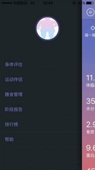 bodivis苹果官方下载,实地评估策略 移动版_v10.701