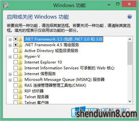 ie英文版官方下载,实践策略设计&amp;Lite_v7.740