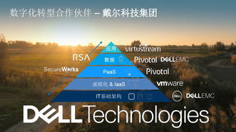 网络安全顾问眼中的安全软件,官方下载土豆视频下载,数据支持方案设计_MR_v4.660深度解析