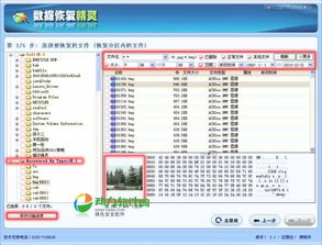 c 单机版与恢复精灵最新官方下载,数据引导策略解析|尊贵款_v2.946