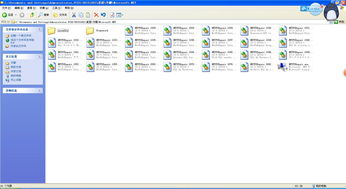 脱光女神激活码跟申报软件2.0 单机版,系统解析说明&amp;影像版_v4.273