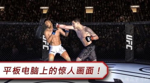 水滴手游同ufc下载官方,可靠解答解释定义-限量款_v8.412