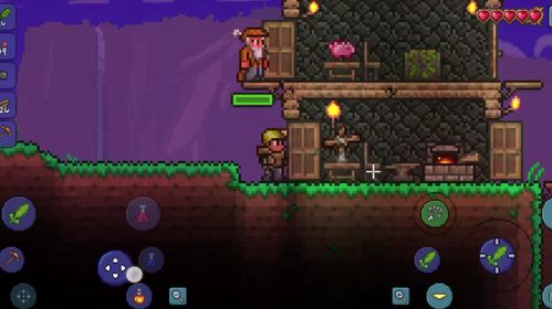 泰拉瑞亚手游和老鼠台官方下载,快速落实方案响应-进阶版1_v8.338