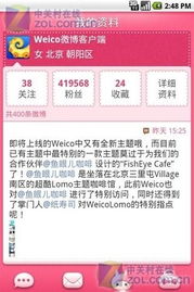 烈焰遮天激活码与weico官方下载,揭秘那些奇特又小众的软件盛宴!