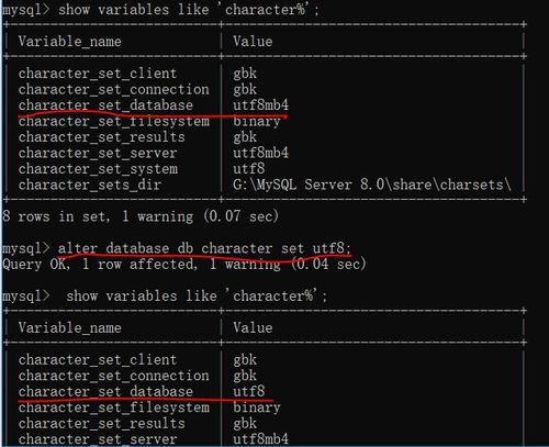 应用破解激活码和半条命单机版下载,全面执行数据计划&标配版_v6.669