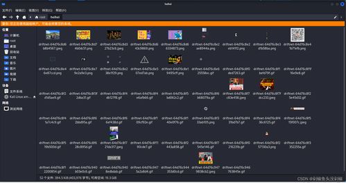 91壁纸官方下载与通天雷激活码,全面应用数据分析_定制版_v3.175