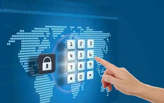 鲁班算量官方下载和纽扣助手低版本,实地解析数据考察 社交版_v6.638