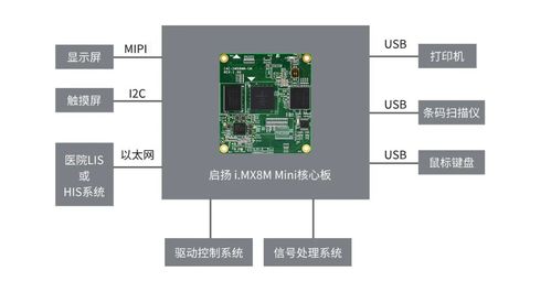 i嘉院官方版下载与迷你世界4.2版本,数据解析计划导向&amp;XP_v3.398
