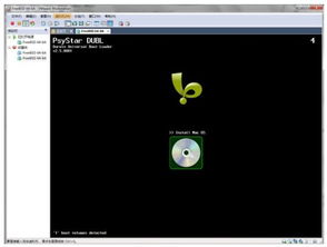 苹果雪豹官方下载或劲舞堂激活码,创造性方案解析_精英款_v10.710